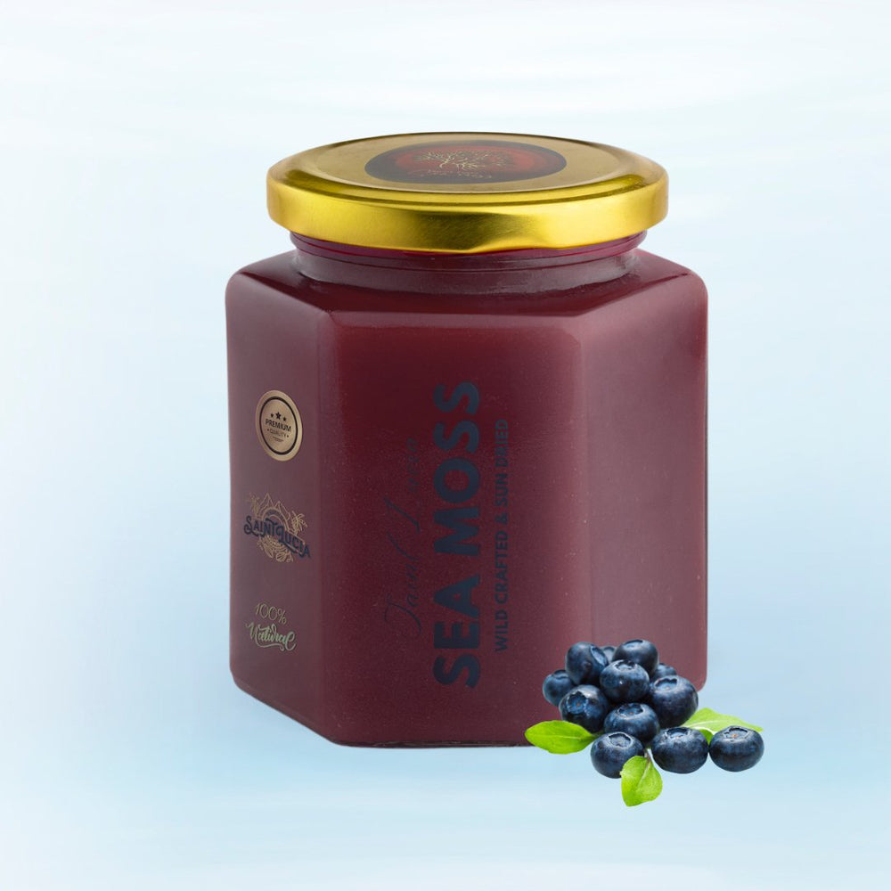 Blue Berry Infused Sea Moss Gel - seamoss.ae