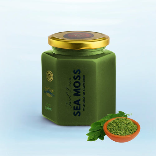 Moringa Infused Sea Moss Gel - seamoss.ae