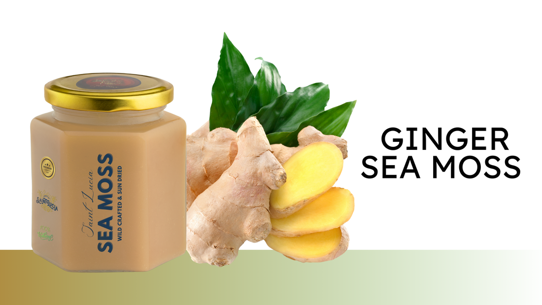 Benefits of Ginger Infused Sea Moss Gel