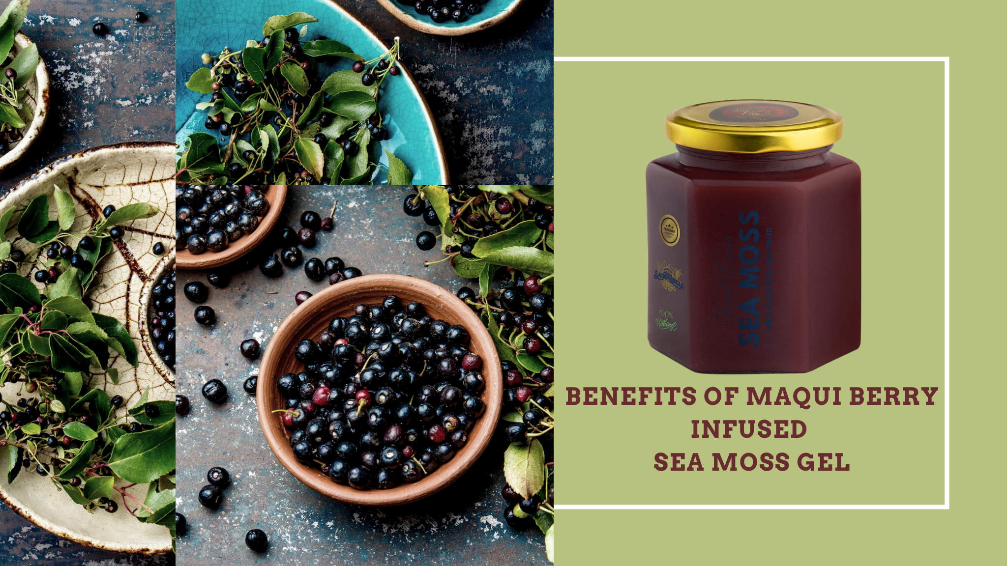 Benefits of Maqui Berry Infused Sea Moss Gel