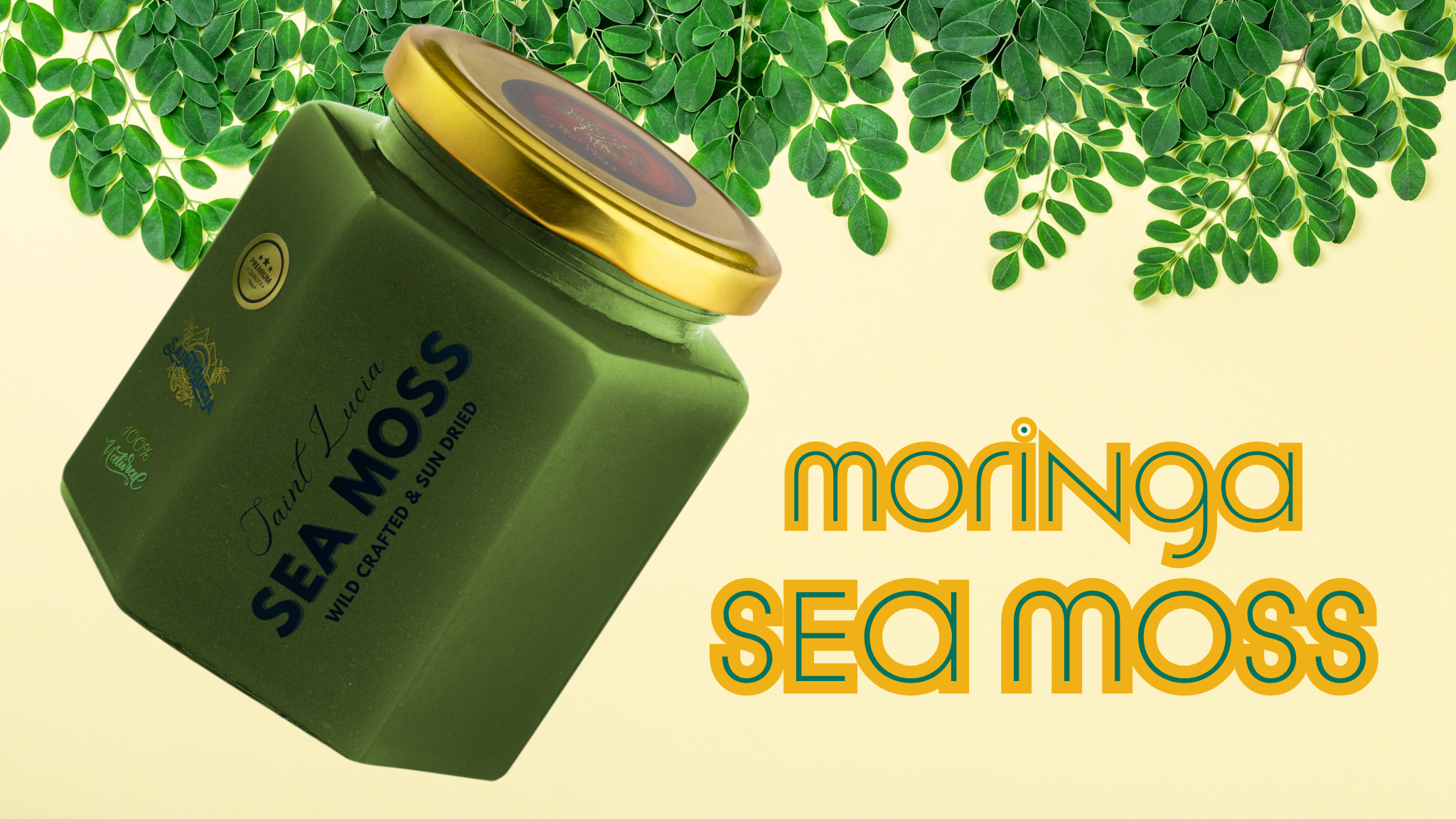 Benefits of Moringa Infused Sea Moss Gel