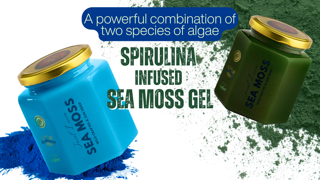 Benefits of Spirulina Infused Sea Moss Gel