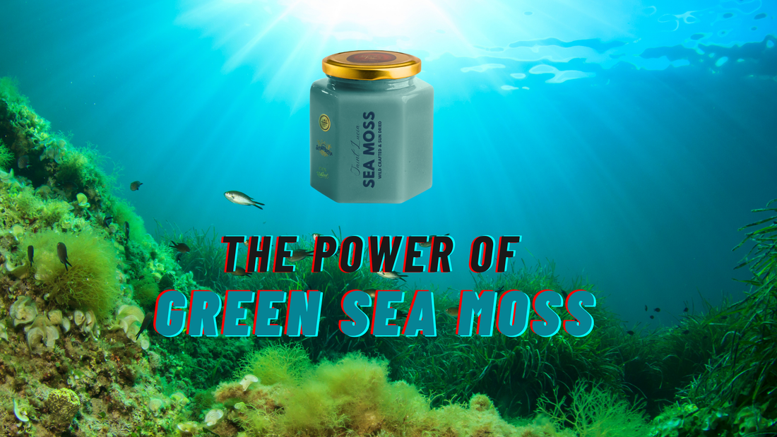 What are the benefits of green sea moss?