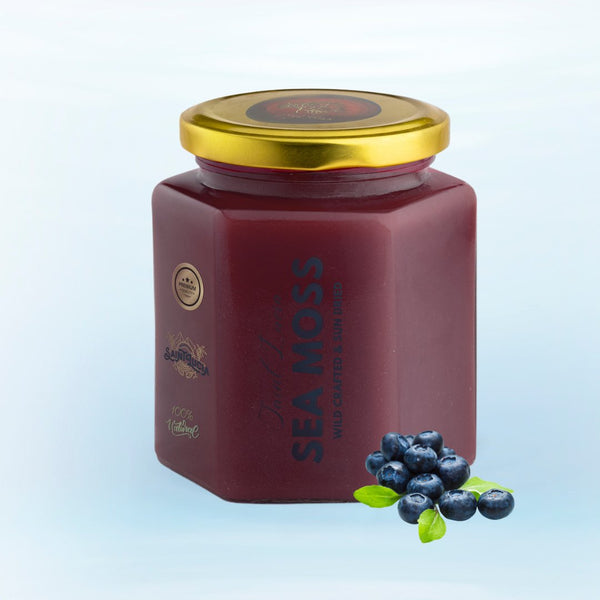 Blue Berry Infused Sea Moss Gel - seamoss.ae