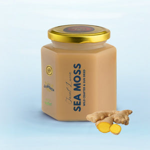 Ginger Infused Sea Moss Gel - seamoss.ae